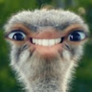 Meet your Posher, William